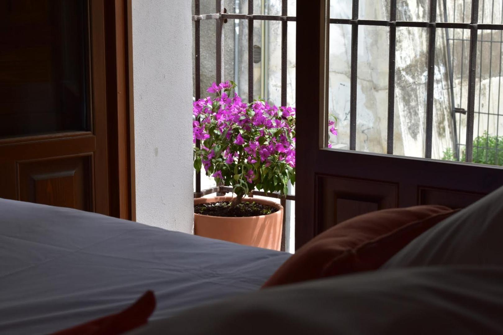 Apartamentos Alhambra Granada Eksteriør billede